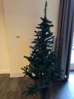 Kerstboom 