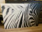 Schilderij zebra